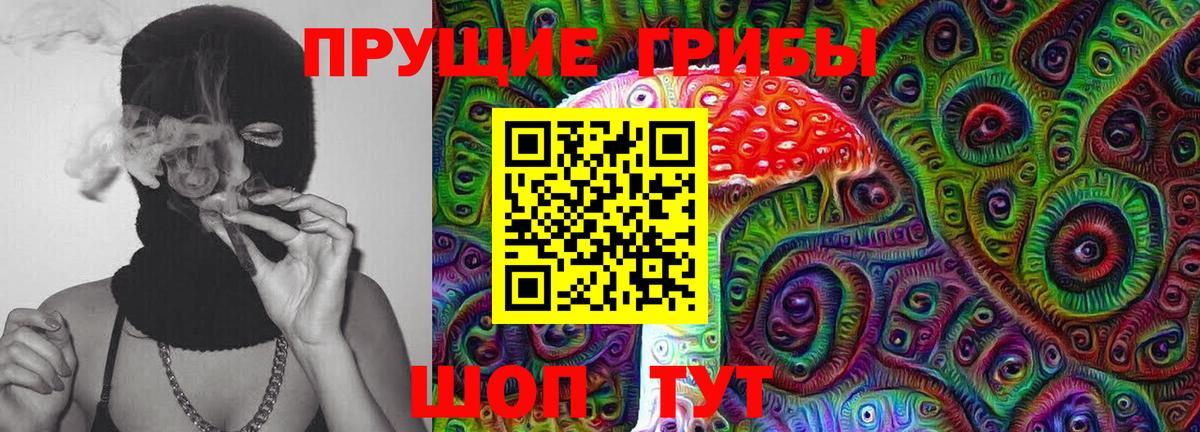Псилоцибиновые грибы мицелий  Вход с VPN  Псилоцибиновые грибы ЛСД  Железногорск 